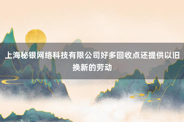 上海秘银网络科技有限公司好多回收点还提供以旧换新的劳动